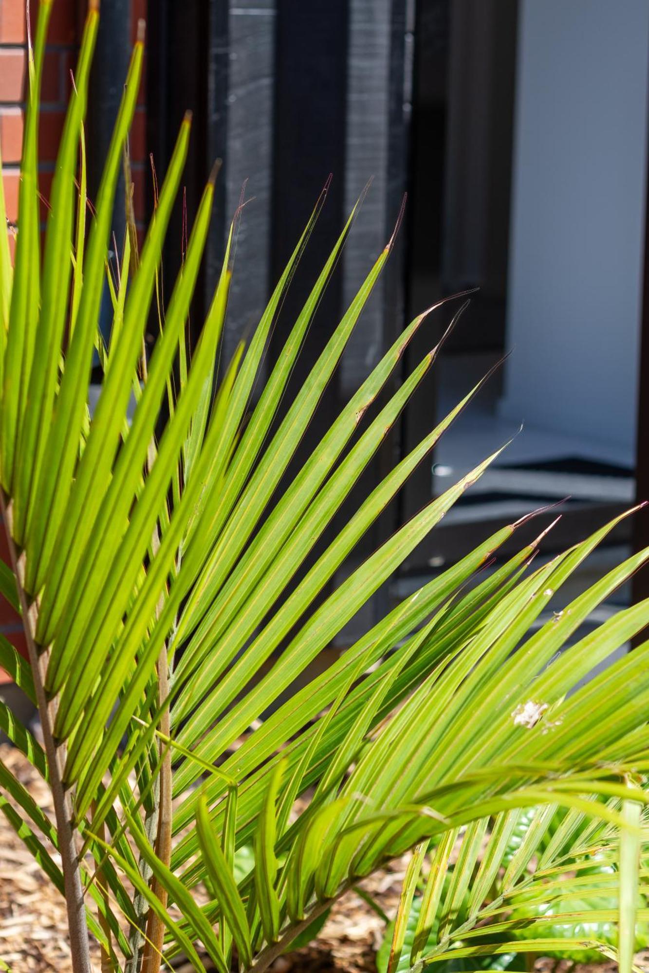 奥克兰Conveniently Located 2Br Townhouse In West Akl公寓 外观 照片